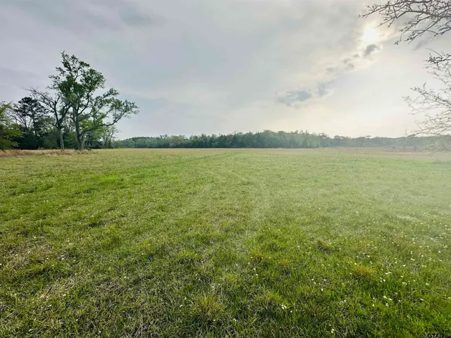 a view of a lake from a yard