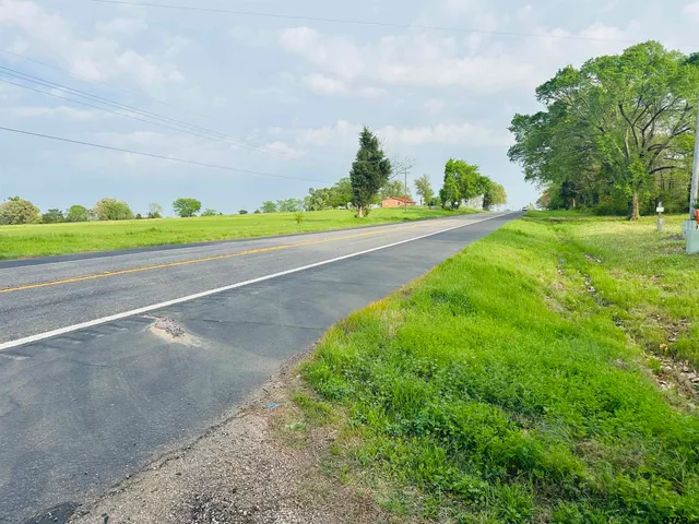 a view of a garden with an trees