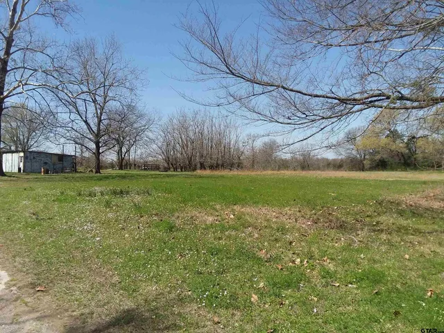 a view of a field of grass and trees