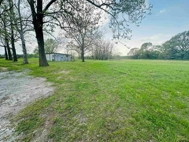 a view of yard with trees