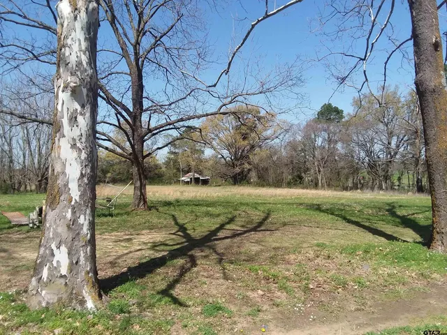 a view of backyard with green space