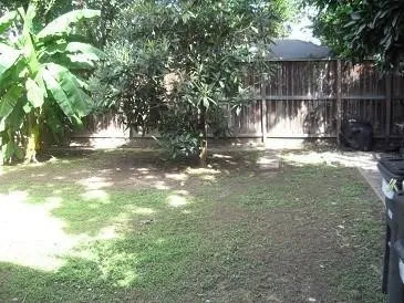 a view of a yard with large trees and wooden fence