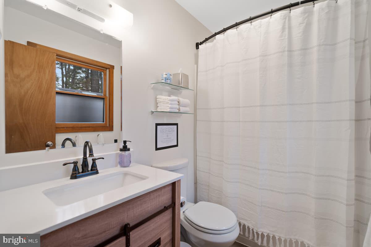162 Forrest Street Basye, VA 22810 - Photo 34 of 41 a bathroom with a sink a toilet and shower