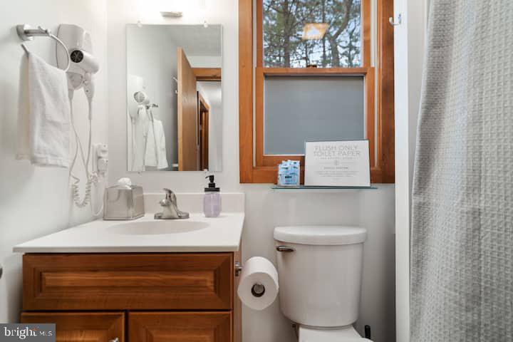 162 Forrest Street Basye, VA 22810 - Photo 36 of 41 a bathroom with a sink mirror and toilet