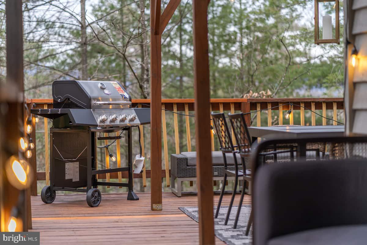 162 Forrest Street Basye, VA 22810 - Photo 4 of 41 a view of a chairs on the deck