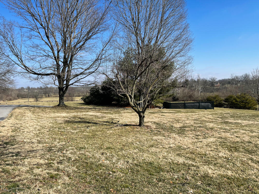 4409 Lexington Road Paris, KY 40361 - Photo 40 of 45 0-3624