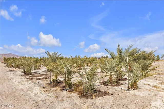 $420,000 | 2253 North Saddleback Drive, Amargosa Valley, NV 89020