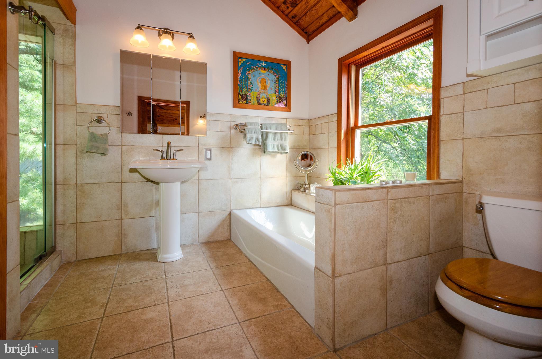 38356 Hughesville Road Hamilton, VA 20158 - Photo 14 of 30 Large Master bath with separate shower