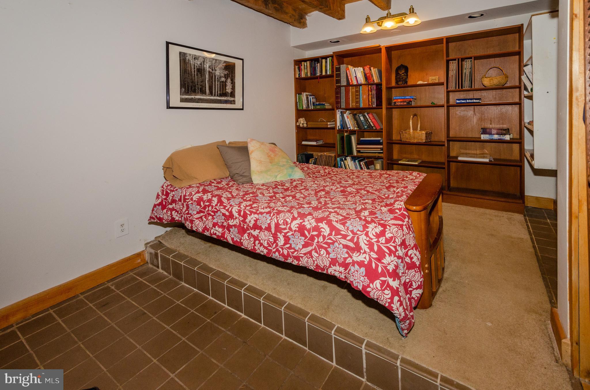 38356 Hughesville Road Hamilton, VA 20158 - Photo 15 of 30 Lower level Bedroom 2 suite