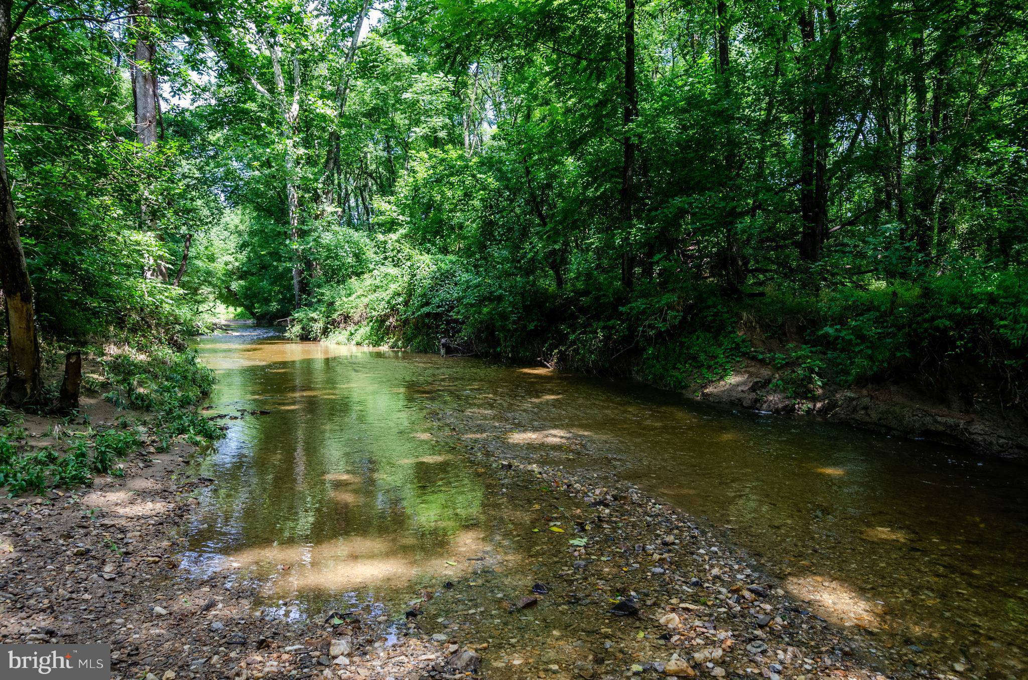 38356 Hughesville Road Hamilton, VA 20158 - Photo 24 of 30 Wonderful creek