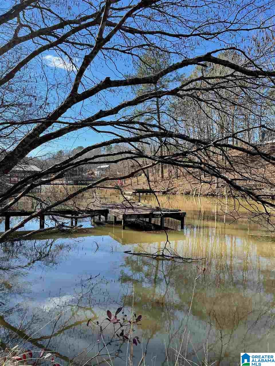 391 Amanda Lane Shelby, AL 35143 - Photo 4 of 9