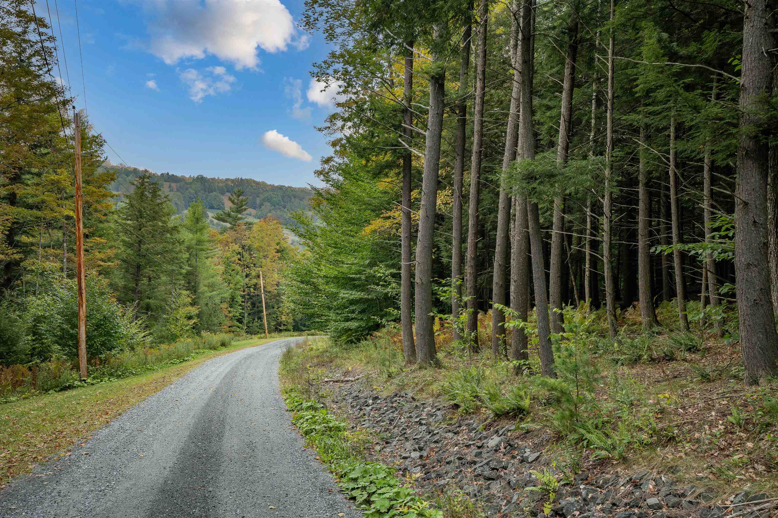 0 Rabbit Hill Way Woodstock, VT 05091 - Photo 2 of 17