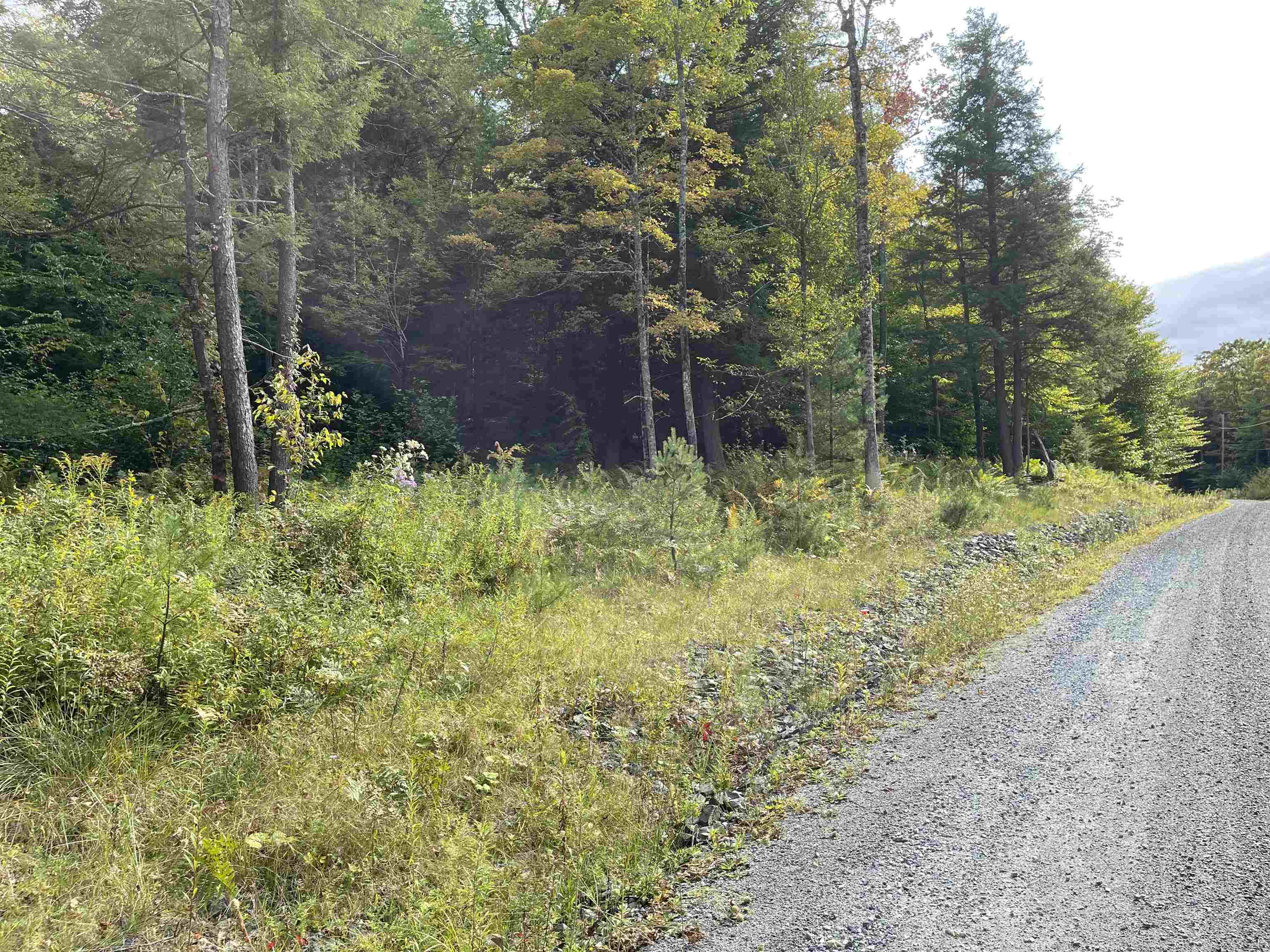 0 Rabbit Hill Way Woodstock, VT 05091 - Photo 4 of 17
