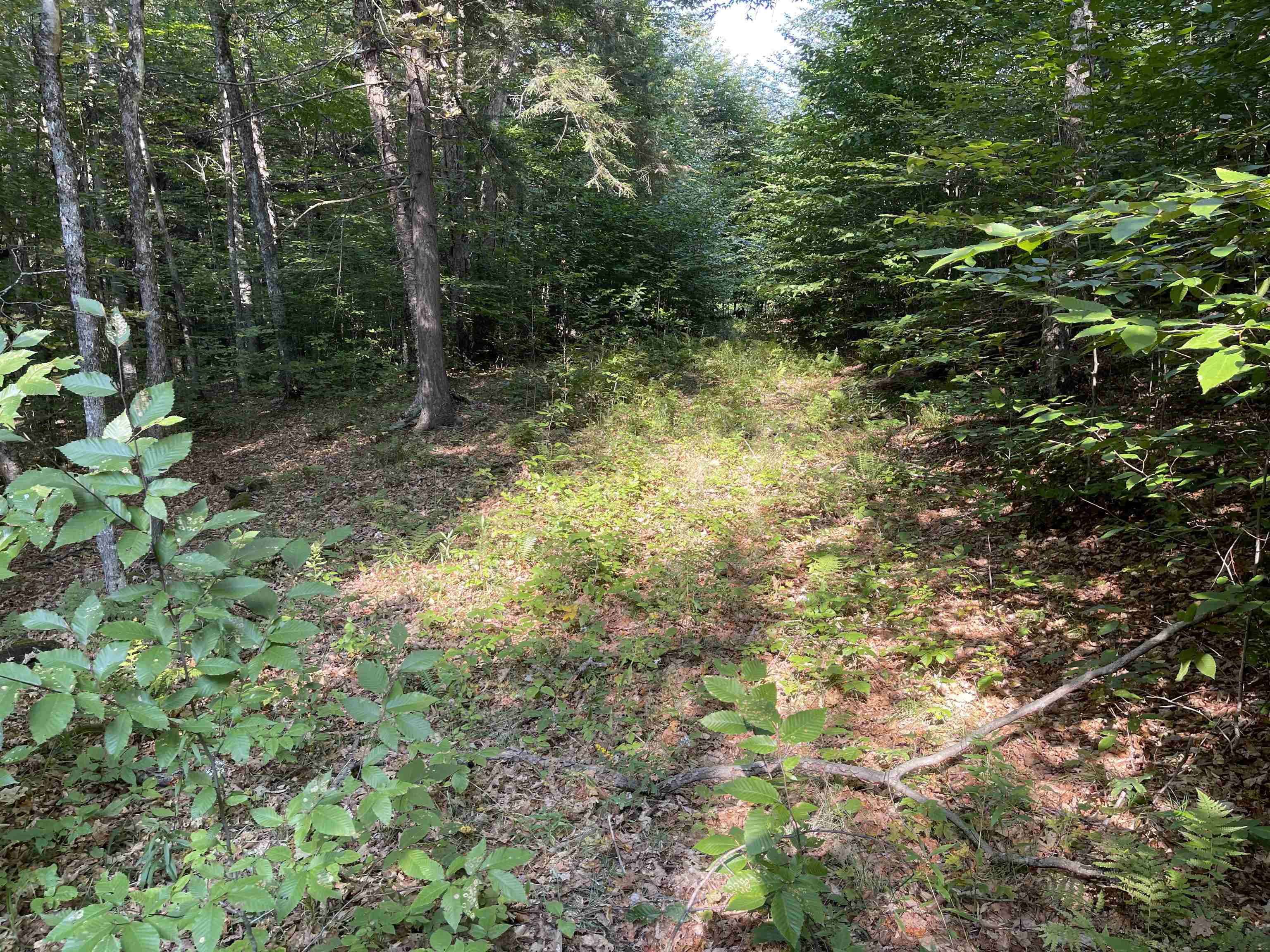 0 Rabbit Hill Way Woodstock, VT 05091 - Photo 5 of 17