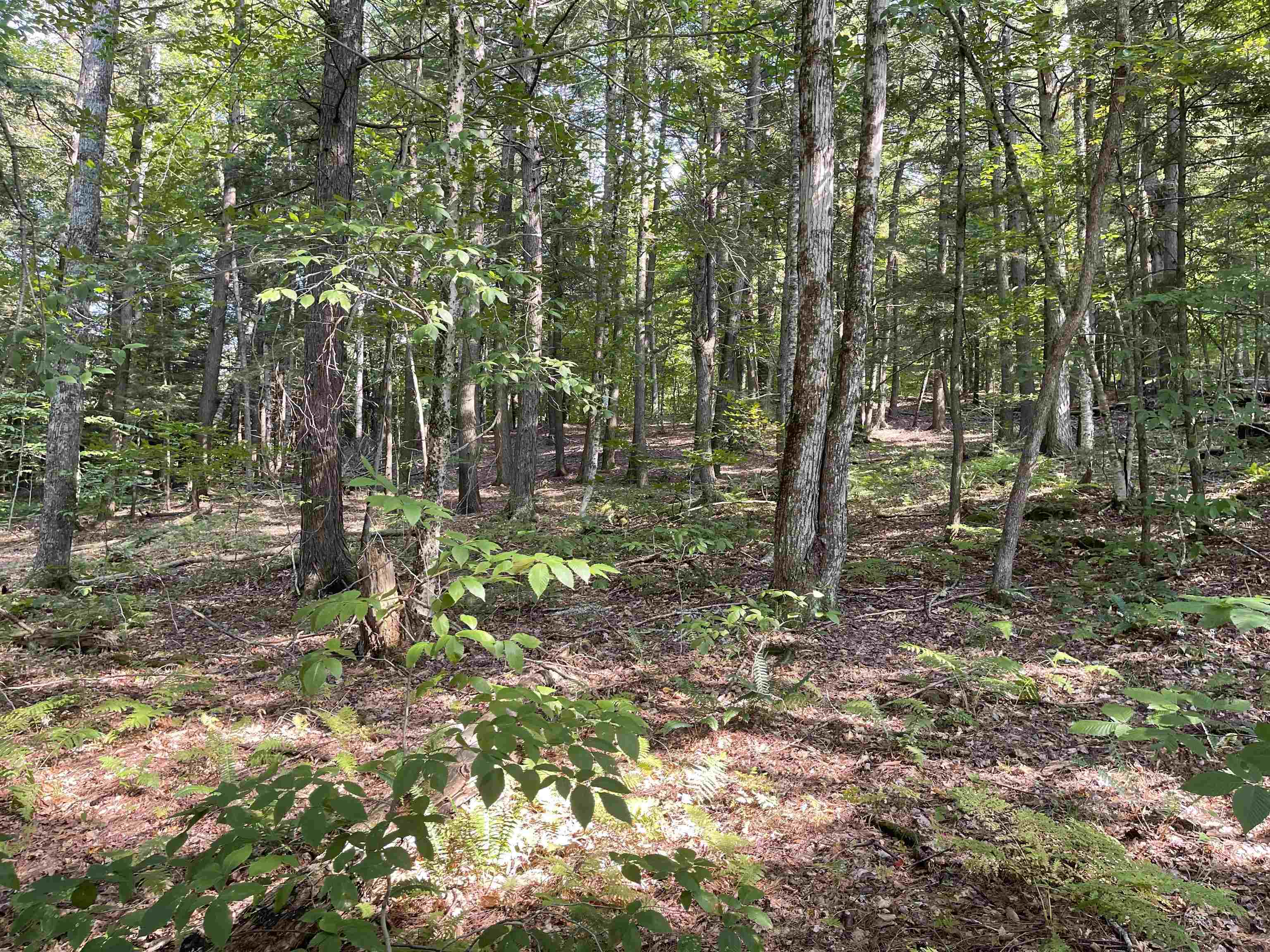 0 Rabbit Hill Way Woodstock, VT 05091 - Photo 7 of 17