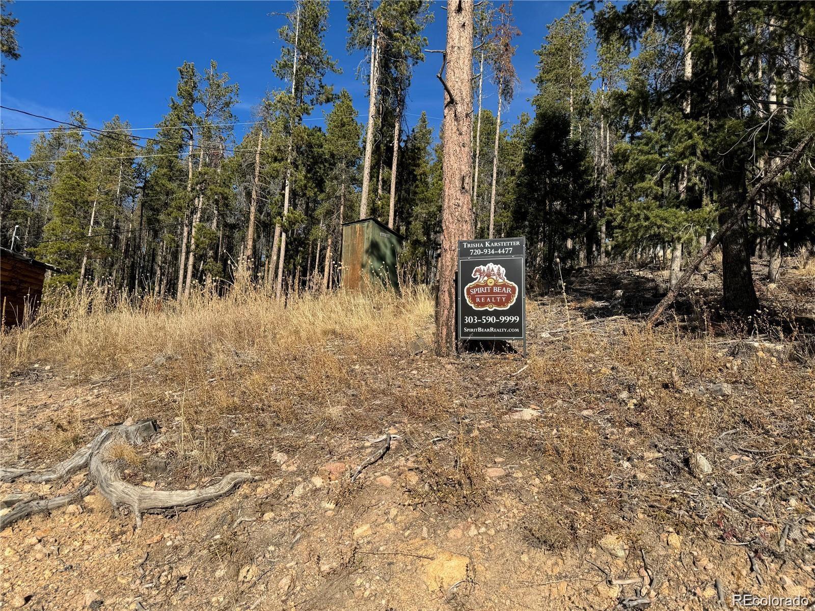 Park Road Conifer, CO 80433 - Photo 2 of 9 Gallery Image 2