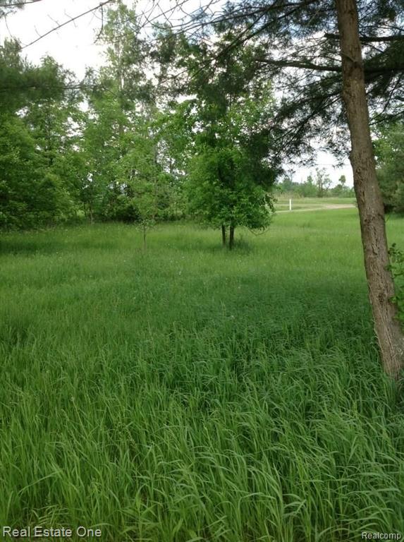 Parcel 4 B Fisher Road Howell, MI 48855 - Photo 1 of 4