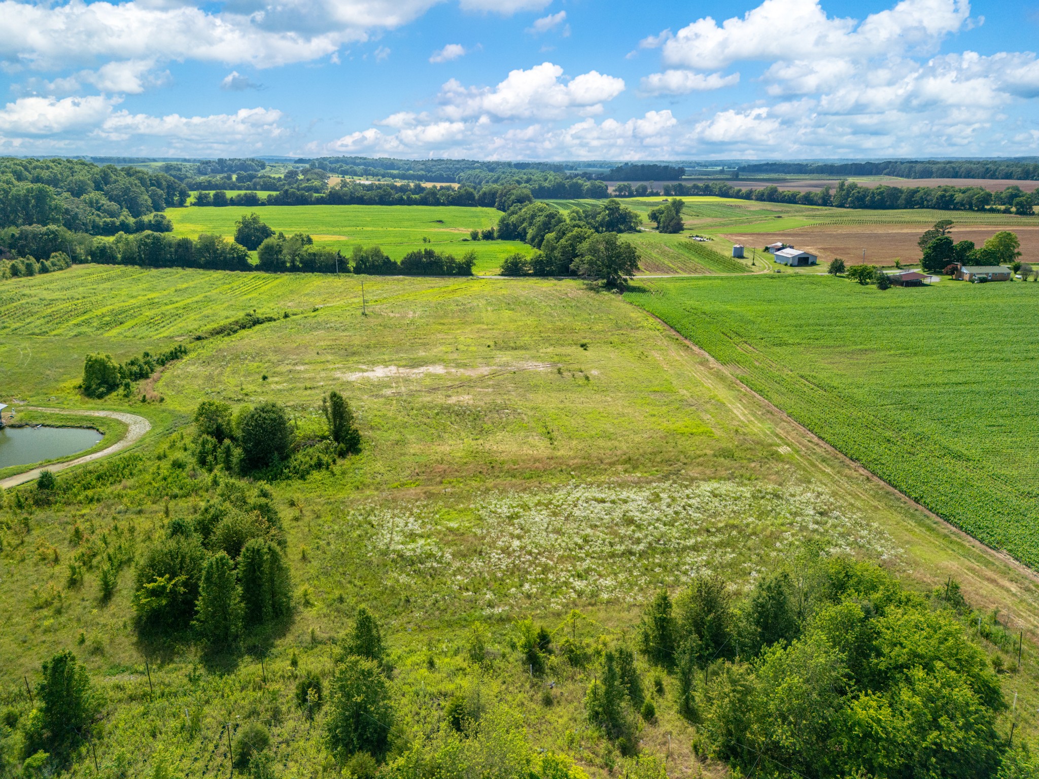 0 Fred Hoover Road Morrison, TN 37357 - Photo 7 of 9 a view of a big yard with a large swimming pool