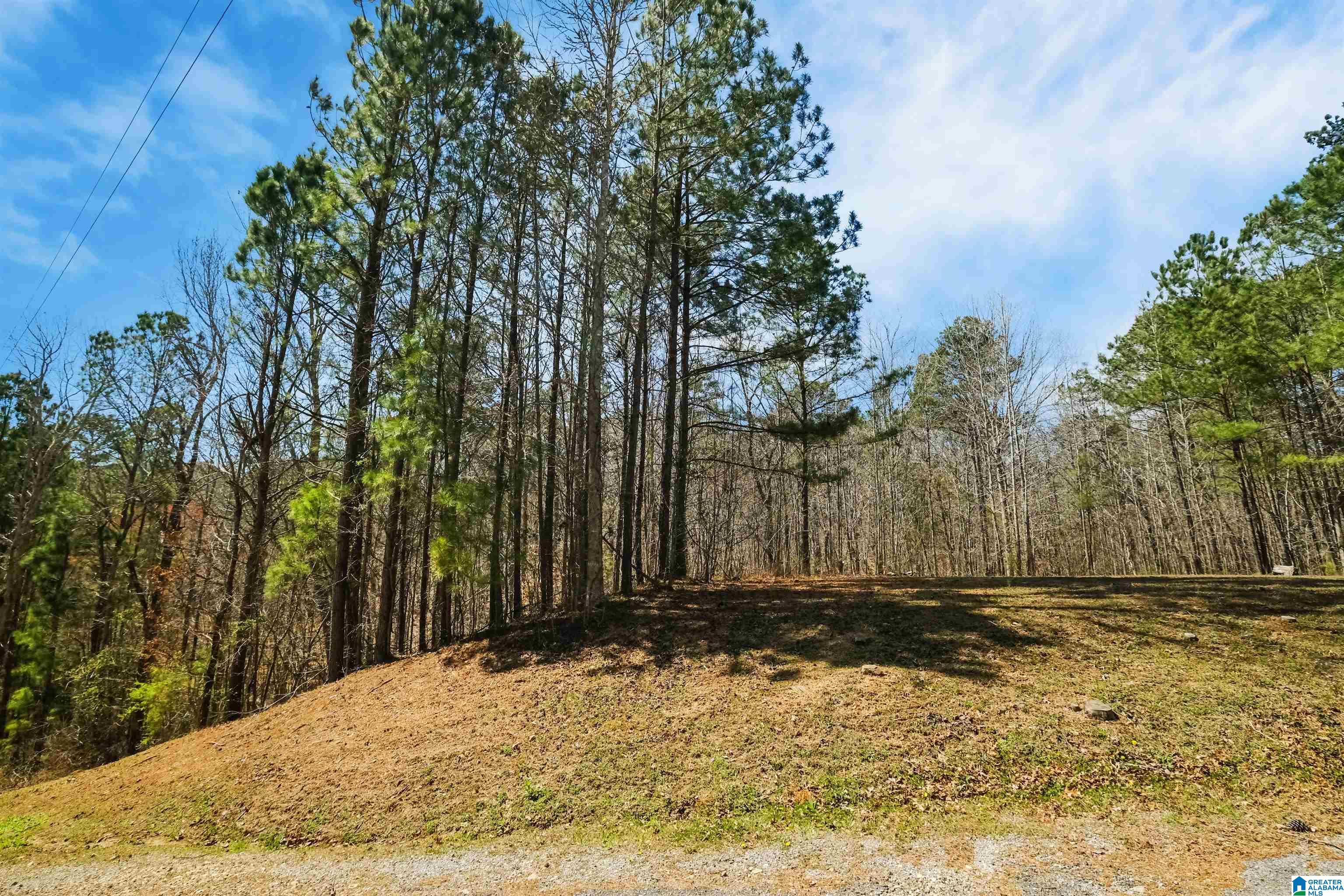 230 Hamilton Lane Riverside, AL 35135 - Photo 29 of 30 Gallery Image 29