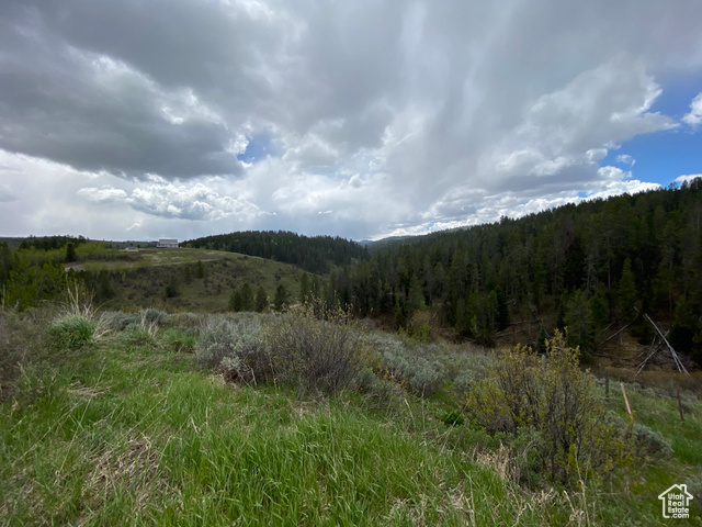 41 Grouse Loop Road, Unit 41 Freedom, WY 83120 - Photo 1 of 33 View of mountain background with a heavily wooded area