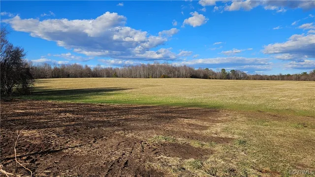 a view of a yard with cars parked on road