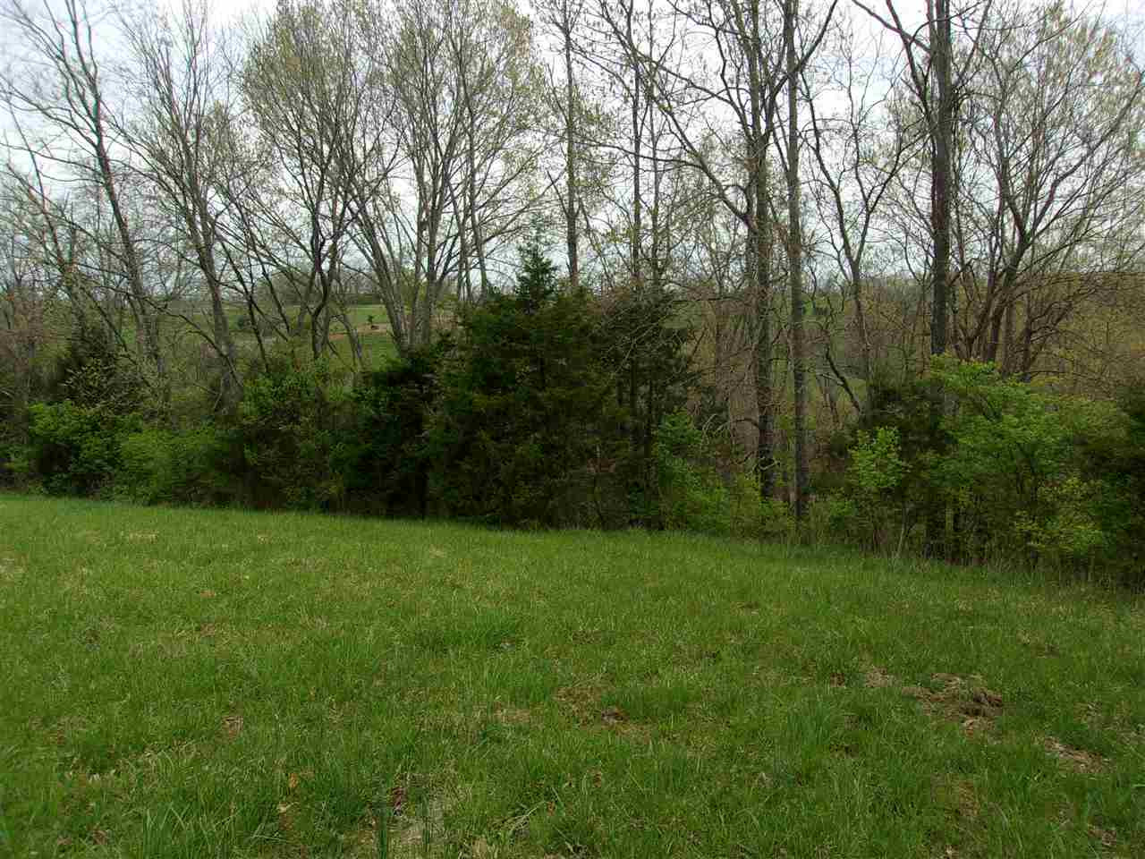 2473 Salem Ridge Road Brooksville, KY 41004 - Photo 6 of 48 Gallery Image 6