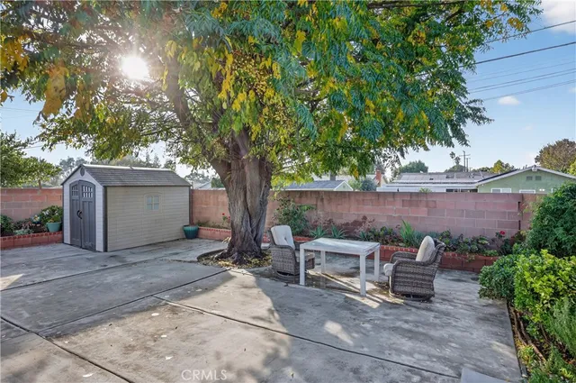 a view of a backyard with chairs and a large tree
