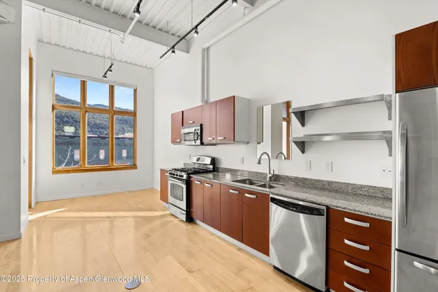 $1,150,000 | 231 Robinson Street, Unit 226, Basalt, CO 81621