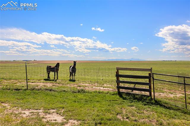 9180 South Rush Road Rush, CO 80833 - Photo 43 of 43 Gallery Image 43