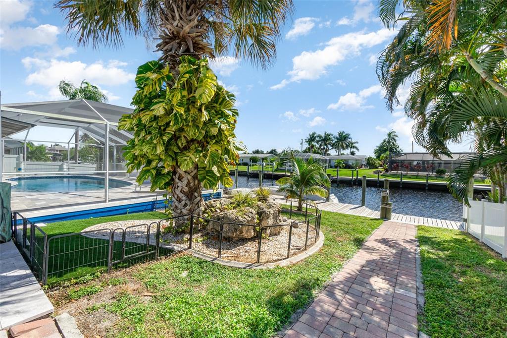 1661 Swan Terrace North Fort Myers, FL 33903 - Photo 3 of 43 a view of a swimming pool with a bench and trees