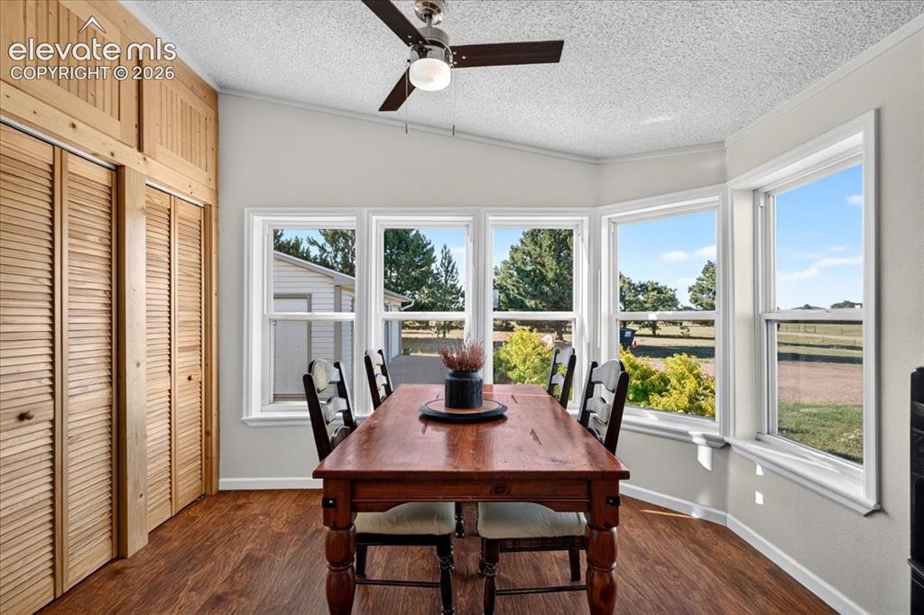 6210 Prospero Road Peyton, CO 80831 - Photo 4 of 26