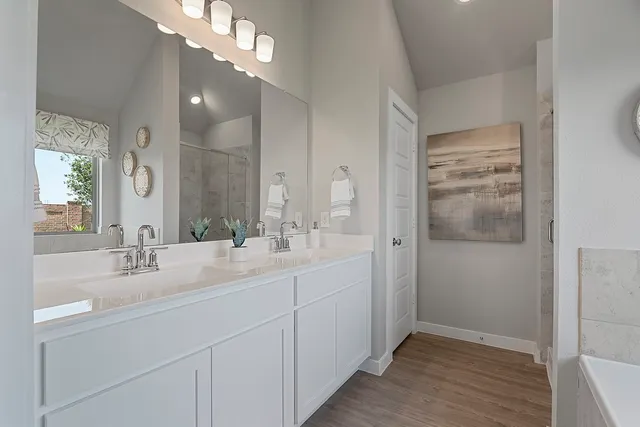 a bathroom with a double vanity sink a mirror and a shower