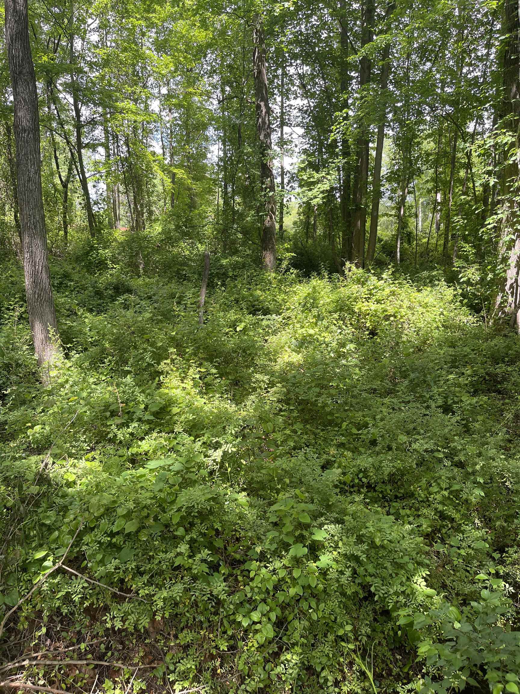 142 Miller Circle Inman, SC 29349 - Photo 8 of 23