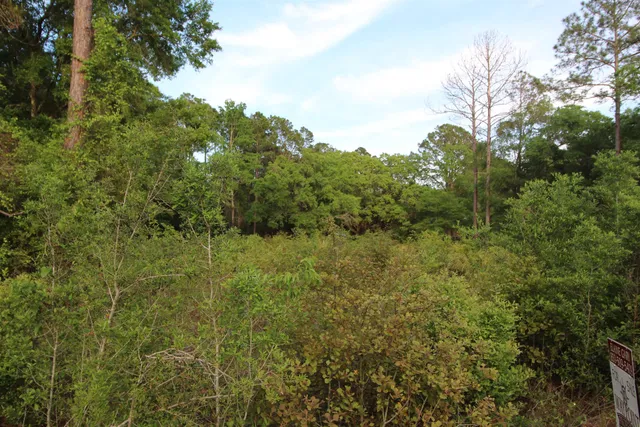 $110,000 | 6-7 Bottoms Road, Panacea, FL 32346