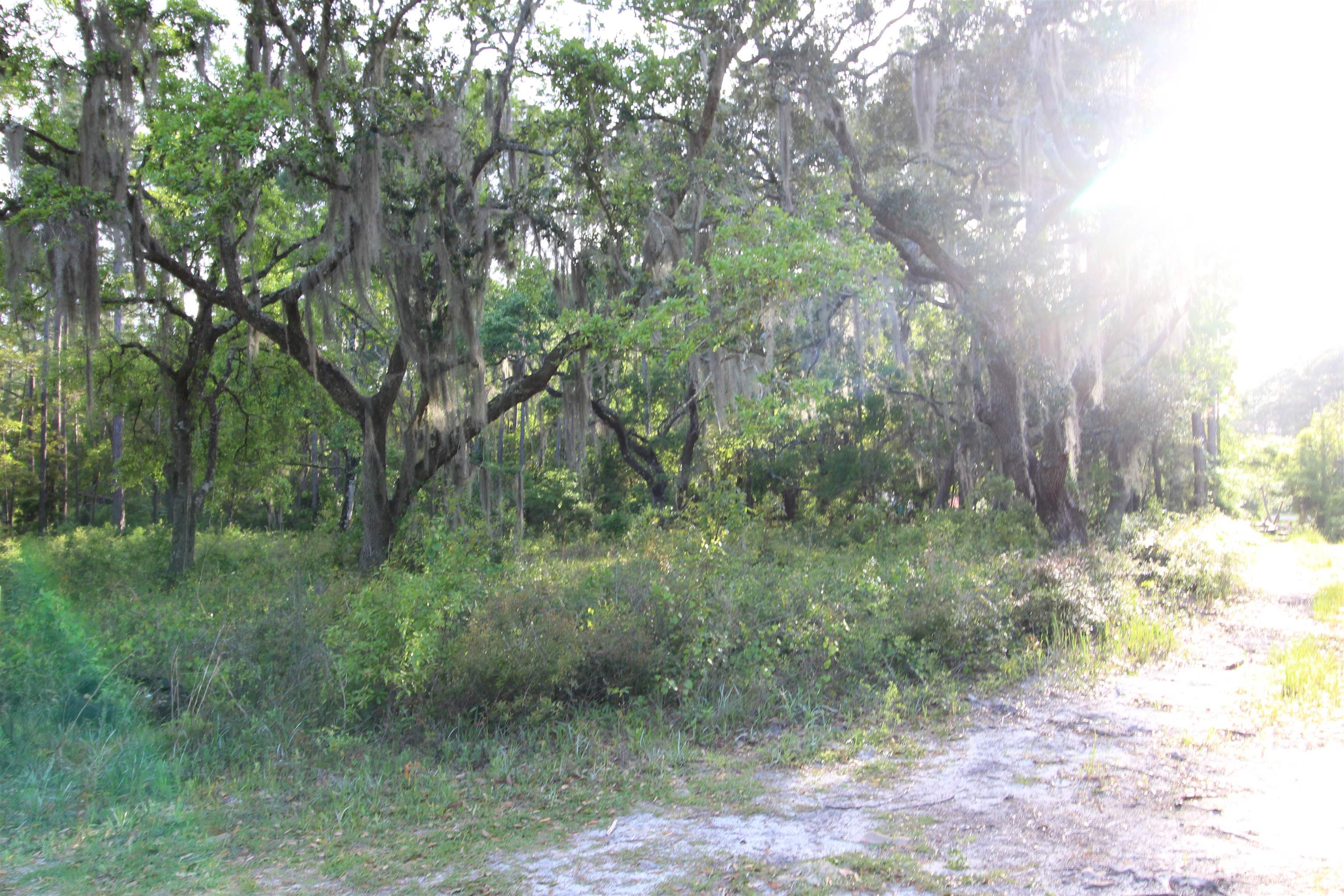 6-7 Bottoms Road Panacea, FL 32346 - Photo 2 of 5