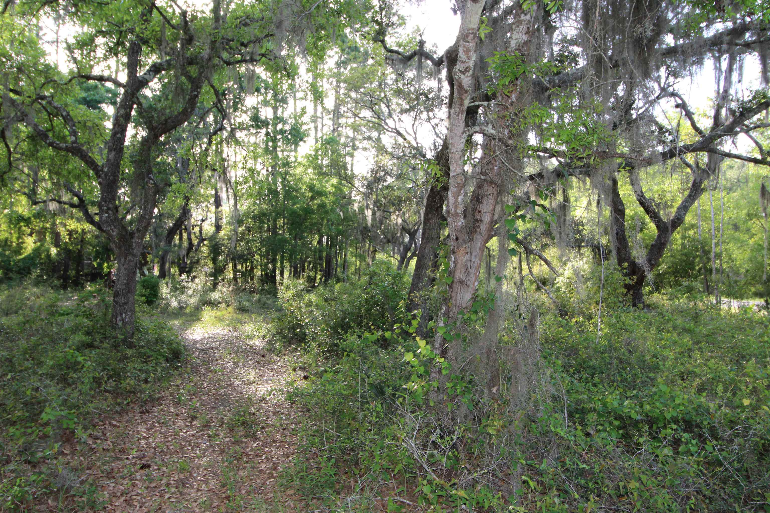 6-7 Bottoms Road Panacea, FL 32346 - Photo 5 of 5