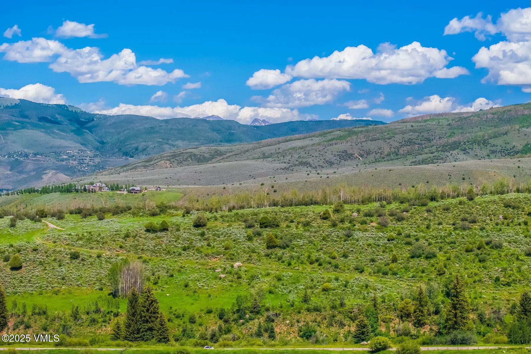 876 Pilgrim Drive Edwards, CO 81632 - Photo 47 of 63 Beautiful Pilgrim Downs