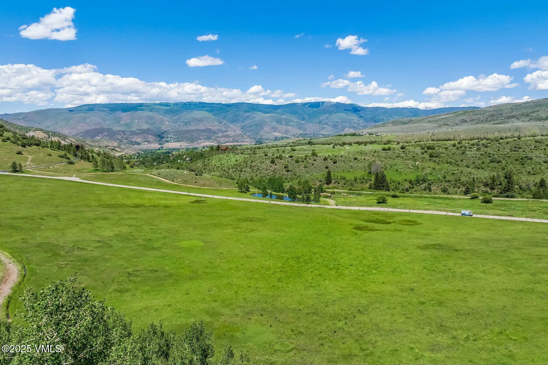 876 Pilgrim Drive Edwards, CO 81632 - Photo 49 of 63 Pilgrim Downs Meadow