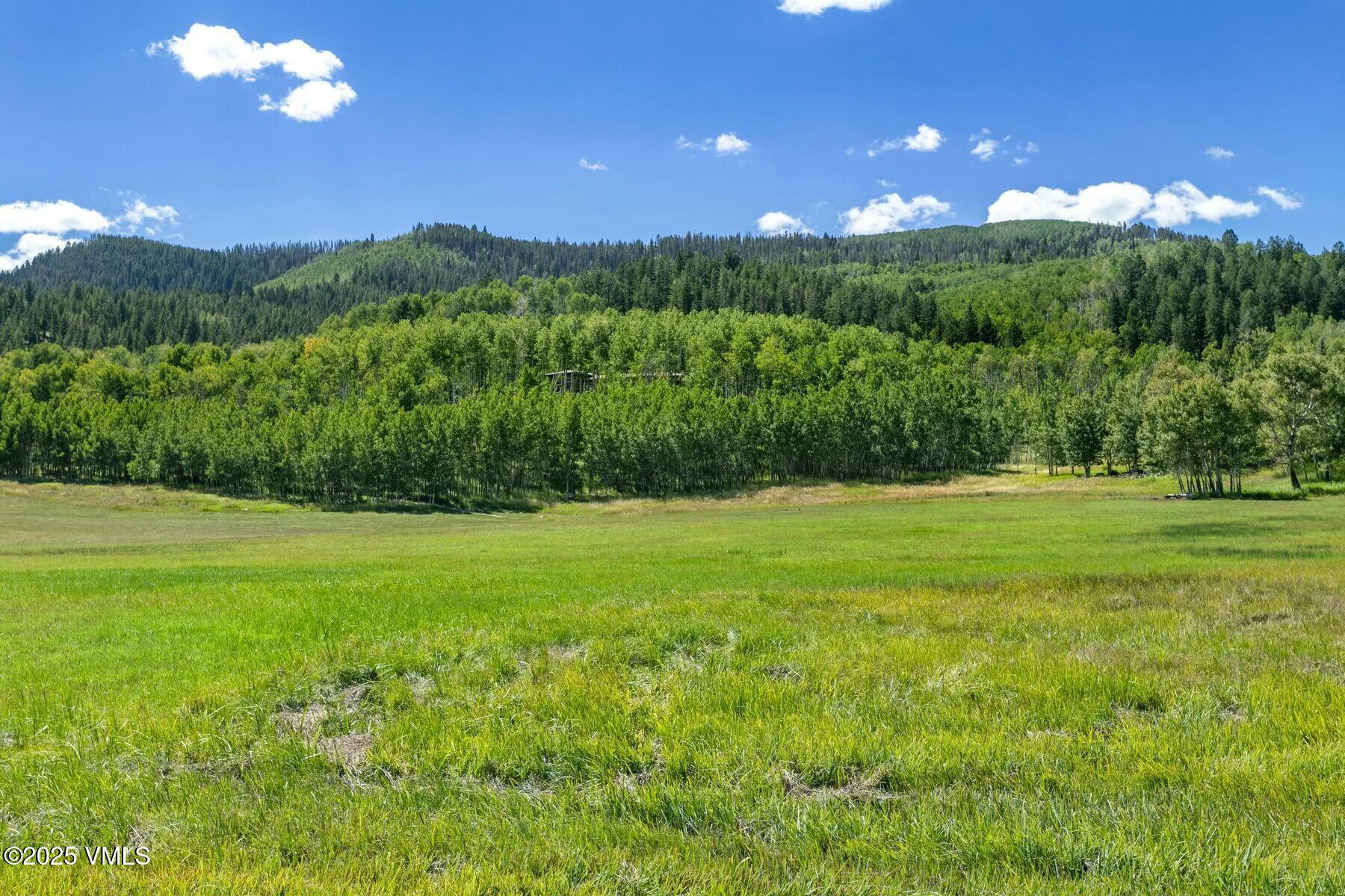876 Pilgrim Drive Edwards, CO 81632 - Photo 60 of 63 Pilgrim Downs Meadow