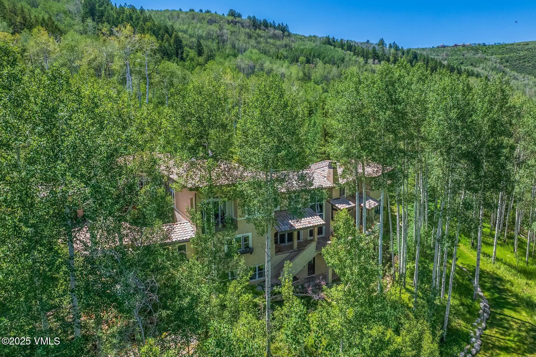 876 Pilgrim Drive Edwards, CO 81632 - Photo 63 of 63 Drone Footage