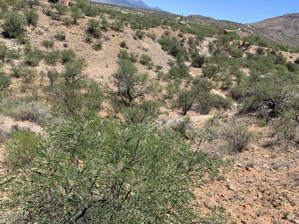 1683 Calle Cabo, Unit 84 Rio Rico, AZ 85648 - Photo 3 of 4 a view of a forest with a lush green forest