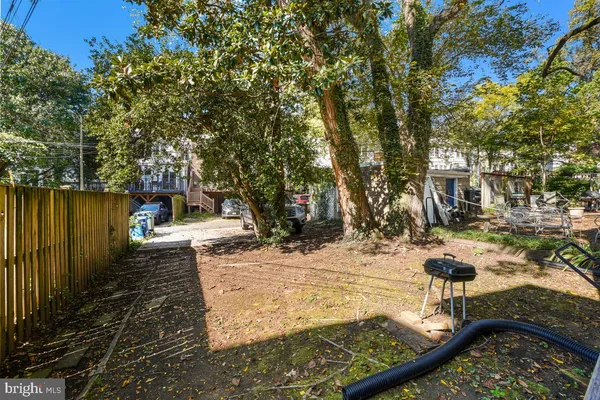 a view of a yard with plants
