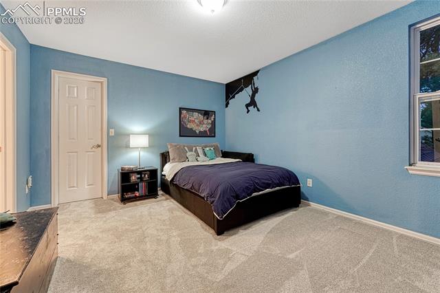15585 Falcon Ridge Court Colorado Springs, CO 80921 - Photo 30 of 50 Gallery Image 30