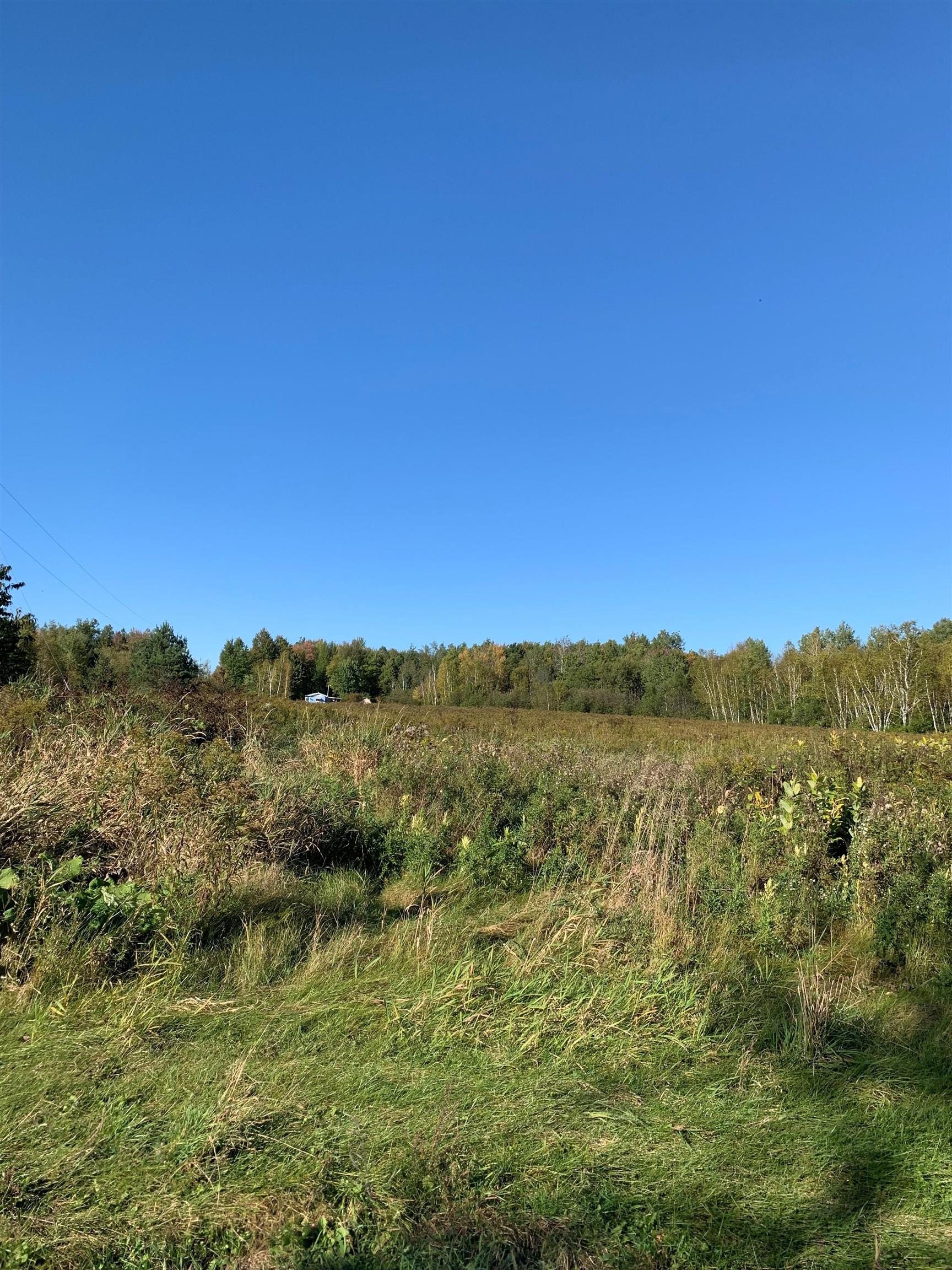 48.6-acres County Road West Merrill, WI 54452 - Photo 13 of 17