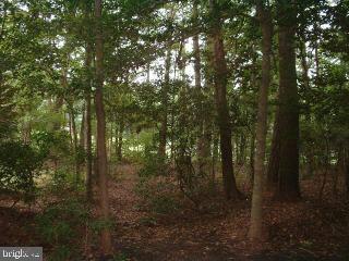 52 Beaconhill Road Ocean Pines, MD 21811 - Photo 4 of 4
