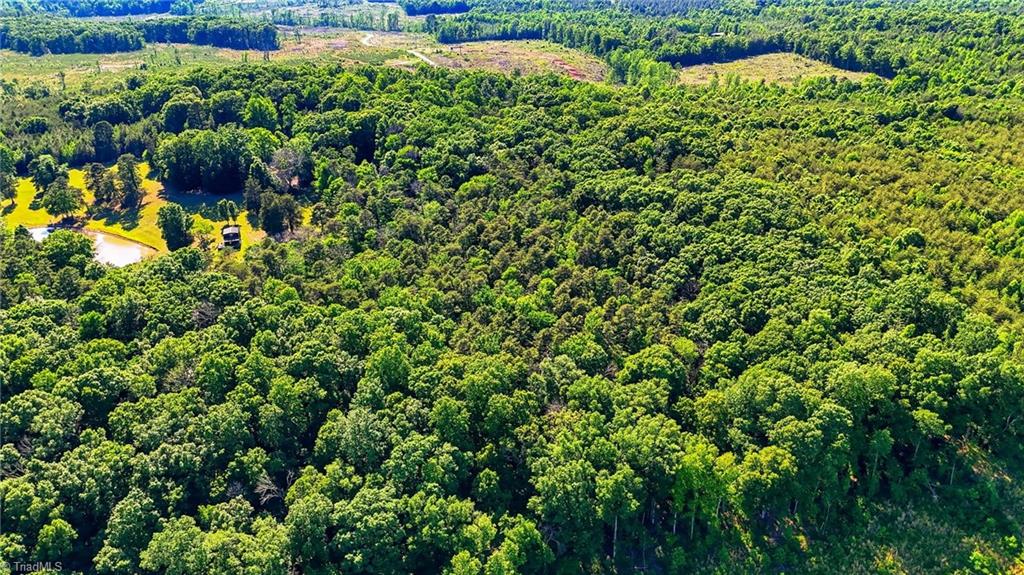 0 Bells Grove Road Denton, NC 27239 - Photo 21 of 47