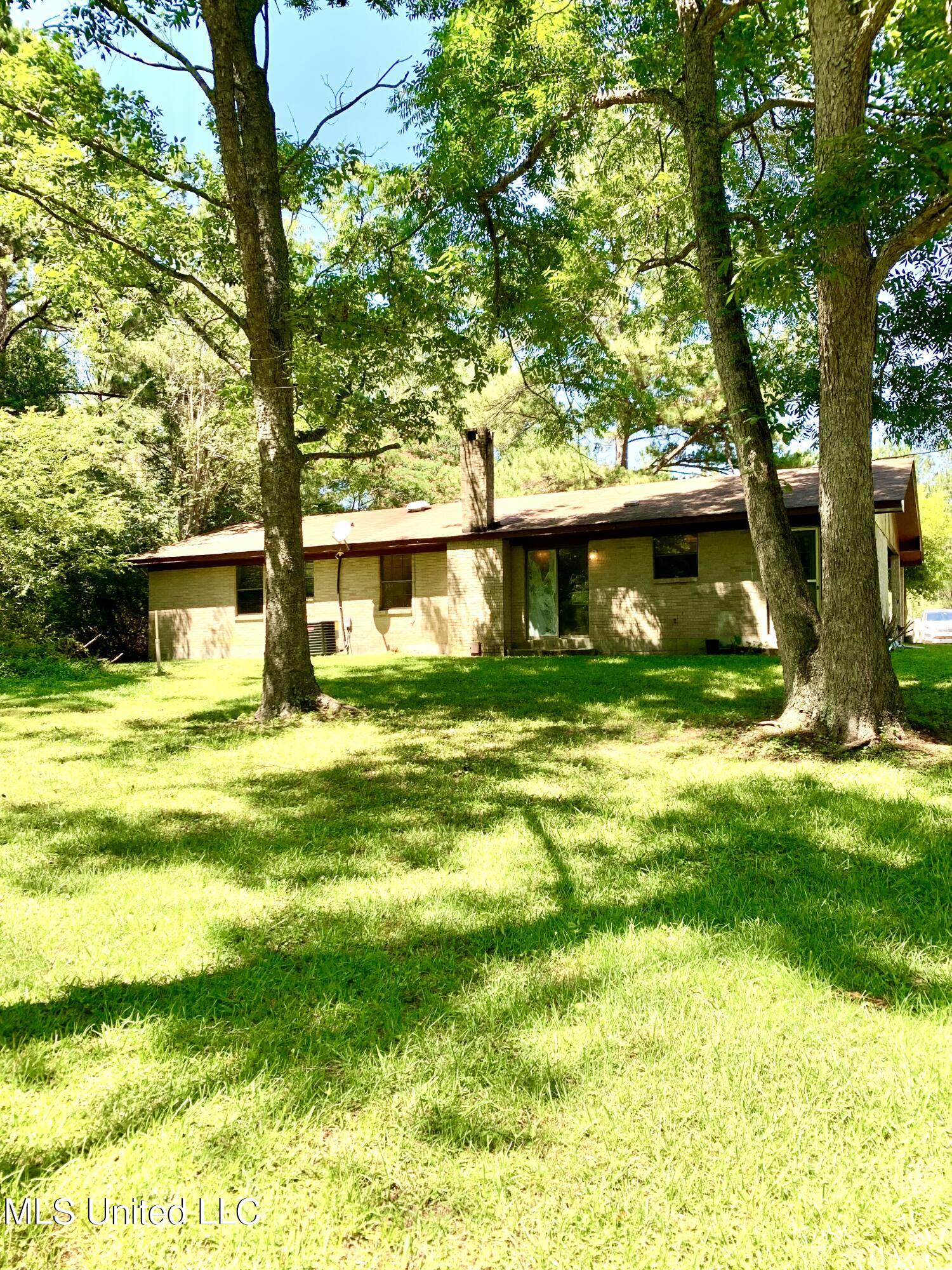 252 Christian Union Road Sumrall, MS 39482 - Photo 11 of 12 Backyard
