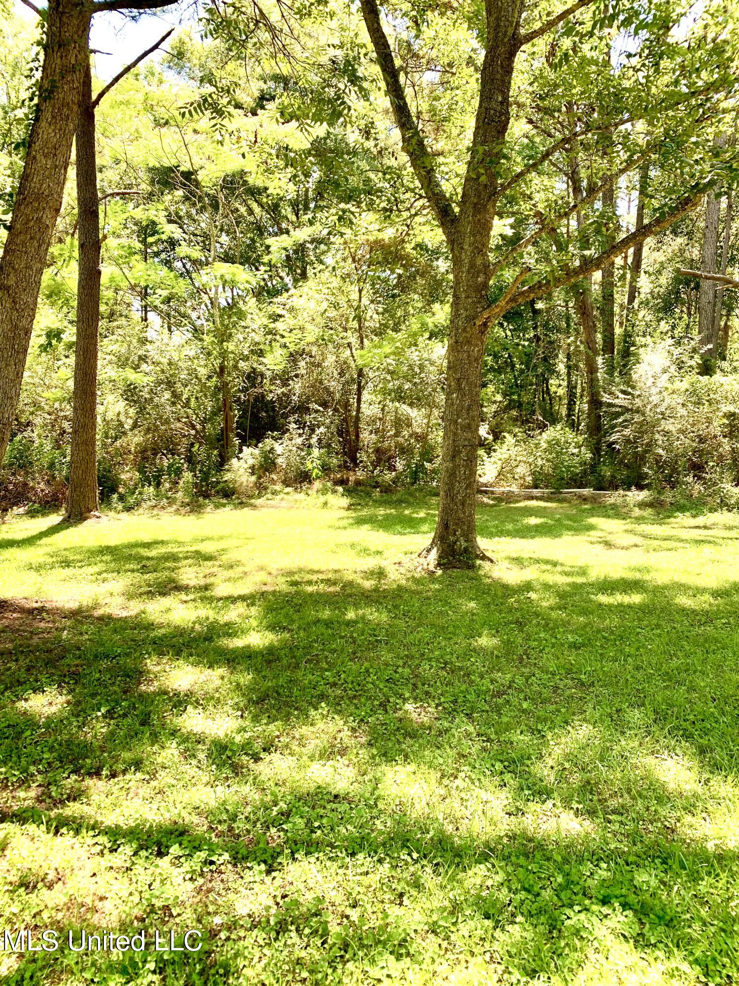 252 Christian Union Road Sumrall, MS 39482 - Photo 10 of 12 Backyard