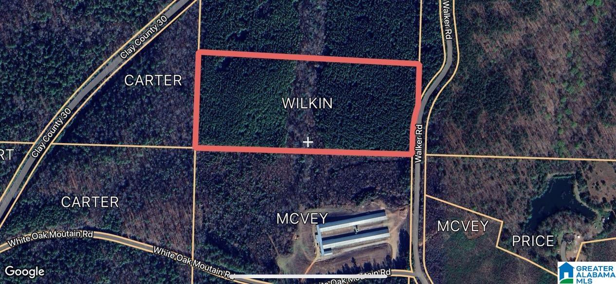 16.5-acres Walker Road, Unit 1 Cragford, AL 36255 - Photo 13 of 14