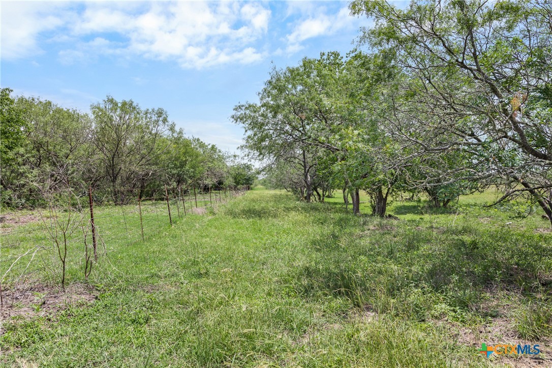 1190 Dickerson Road Lockhart, TX 78644 - Photo 4 of 40